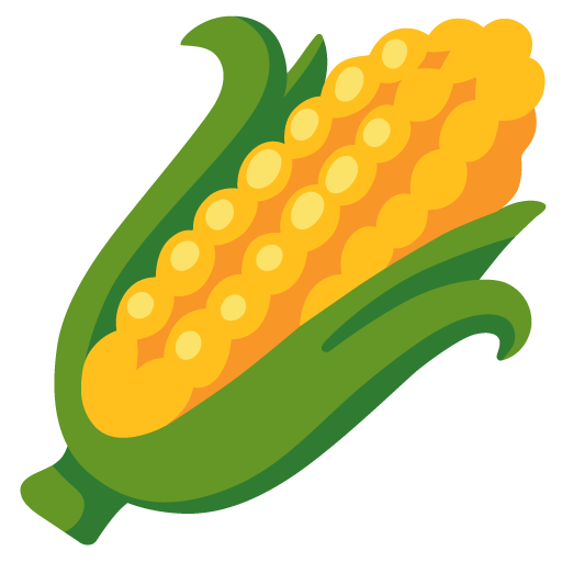 Ear of corn