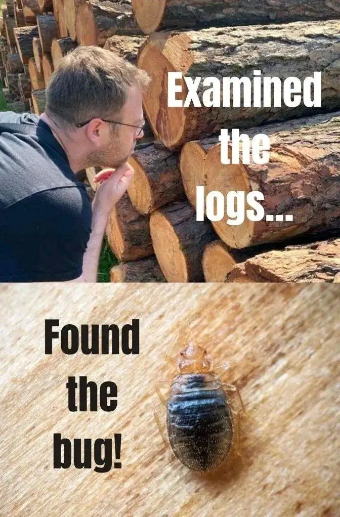 I Wish Debugging Looked Like This