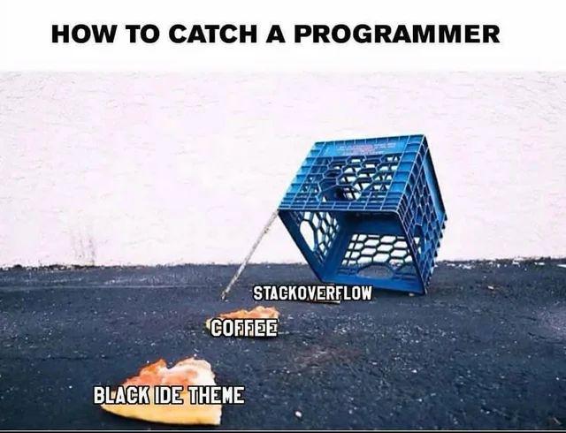 How To Catch A Programmer