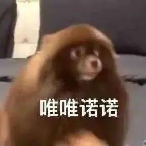 聊天斗图表情包I 唯唯诺诺