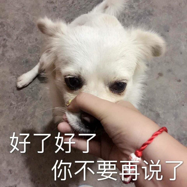 好了好了,你不要再说了