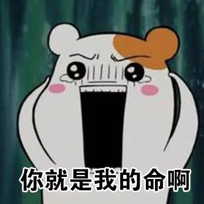 你就是我的命啊