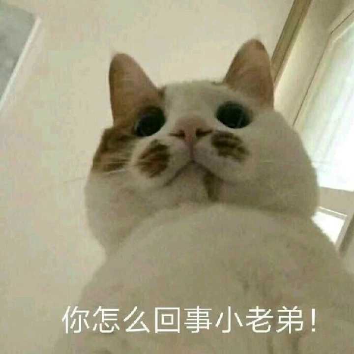 你怎么回事小老弟!