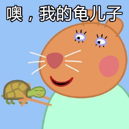 噢,我的龟儿子