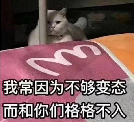 我常因为不够变态,而和你们格格不入
