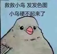 救救小鸟发发色图.小鸟硬不起来了