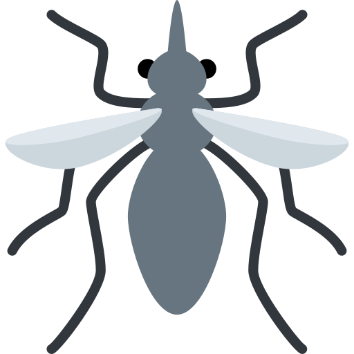 Mosquito