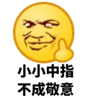 小小中指,不成敬意