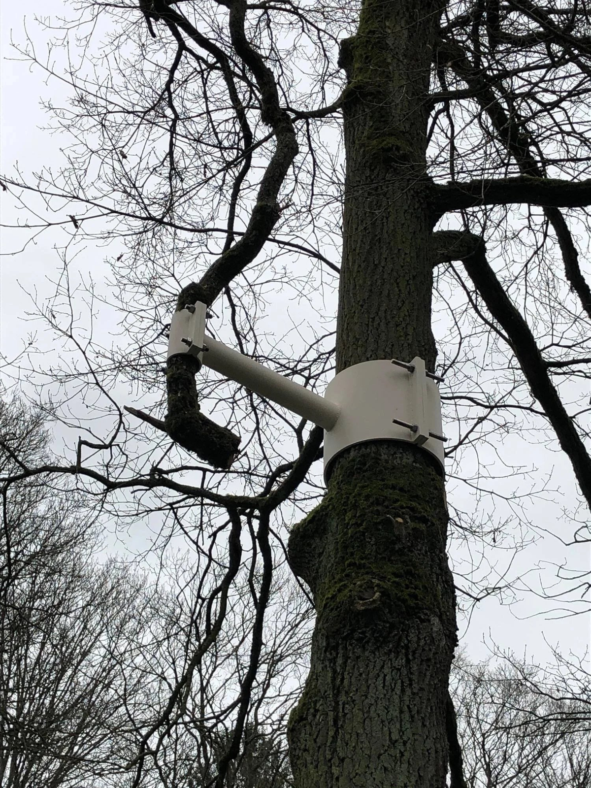 Just Merge Your Branch Already