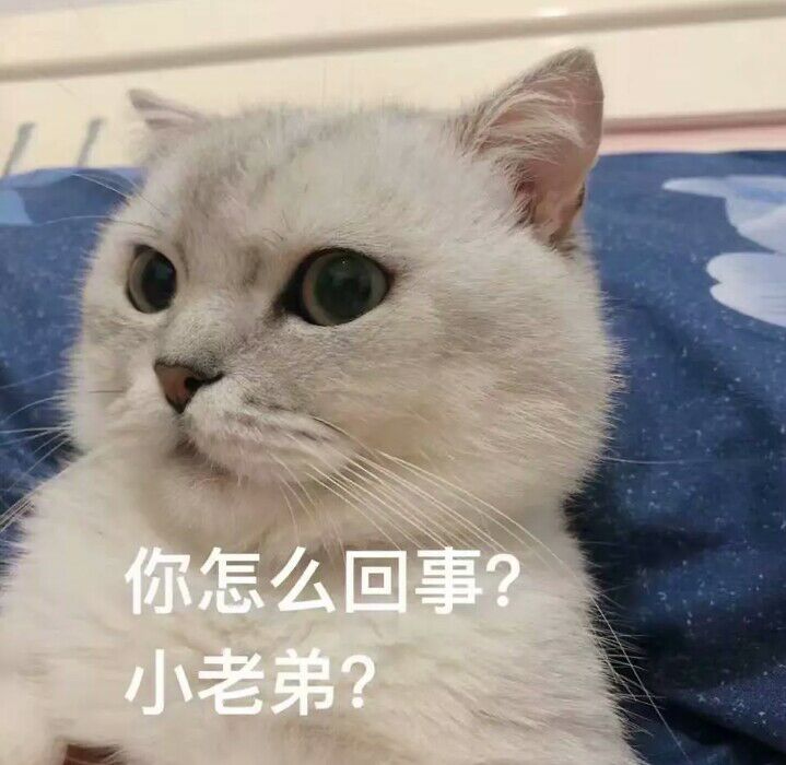 你怎么回事,小老弟