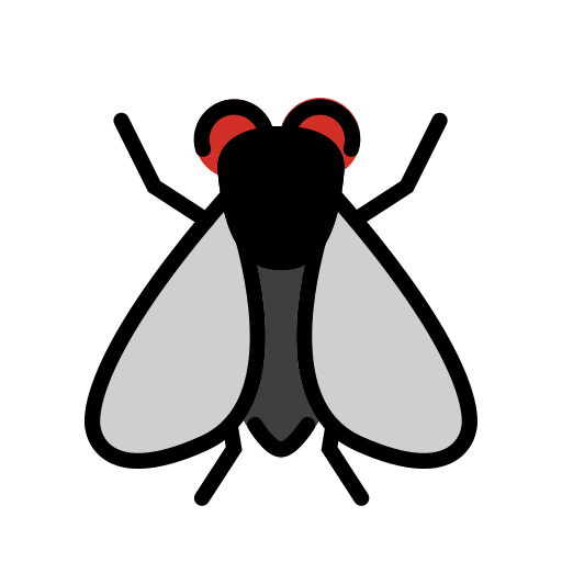 Fly