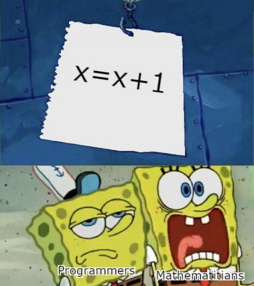 X=X+1: Where Mathematicians Scream And Programmers Yawn