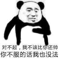 对不起.我不该比你还帅