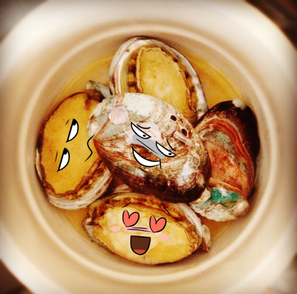 鲍鱼表情