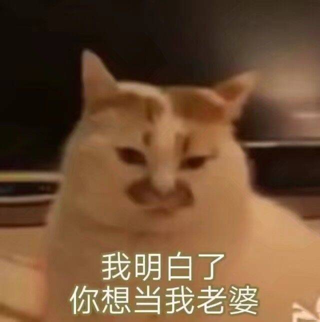 我明白了,你想当我老婆