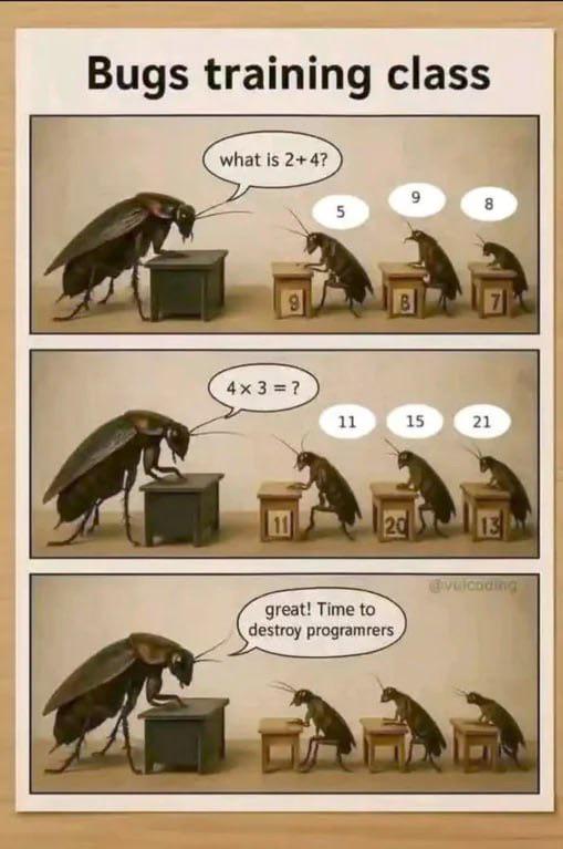 Bugs Training Class: The Secret Enemy Academy