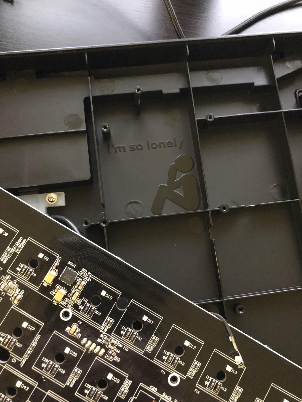 Found This Easter Egg When I Was Disassembling My Keyboard. Poor Fella
