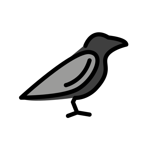 Black bird