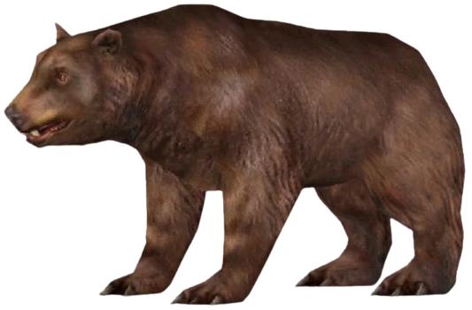 Cave Bear (FMM UV-32)