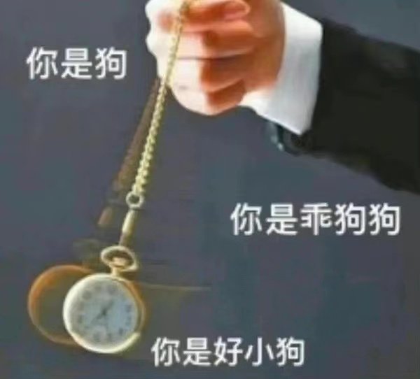 你是狗你是乖狗狗你是好小狗