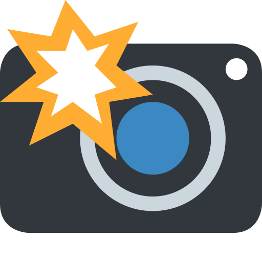 Camera with flash