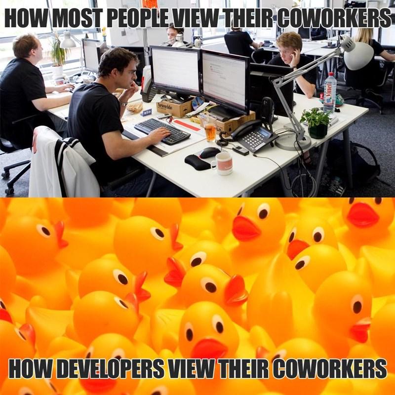 Quack Your Problems Away