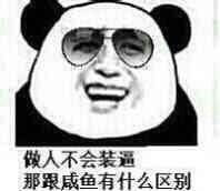 做人不会装逼 那跟咸鱼有什么区别