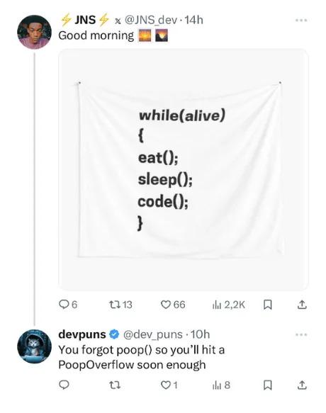 Try Eat Catch Poop Overflow