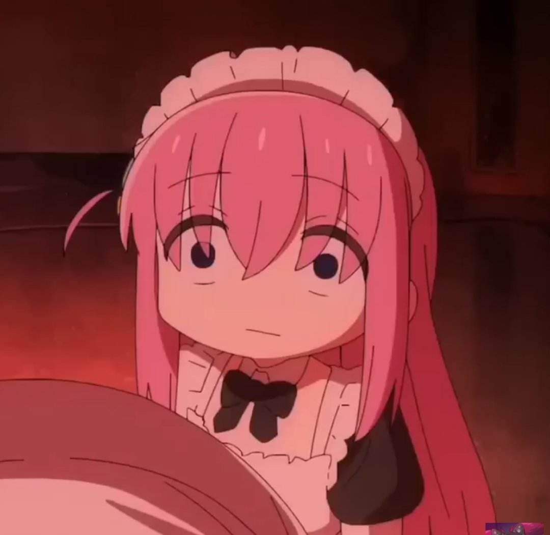 Bocchi