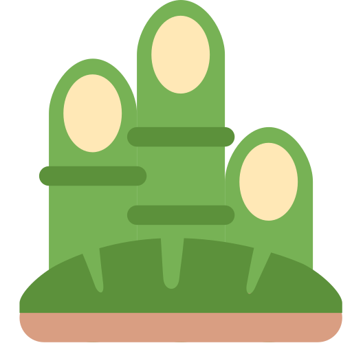 Pine decoration