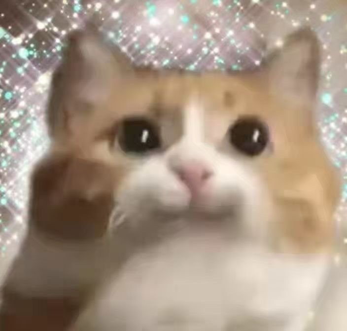 猫猫头表情包