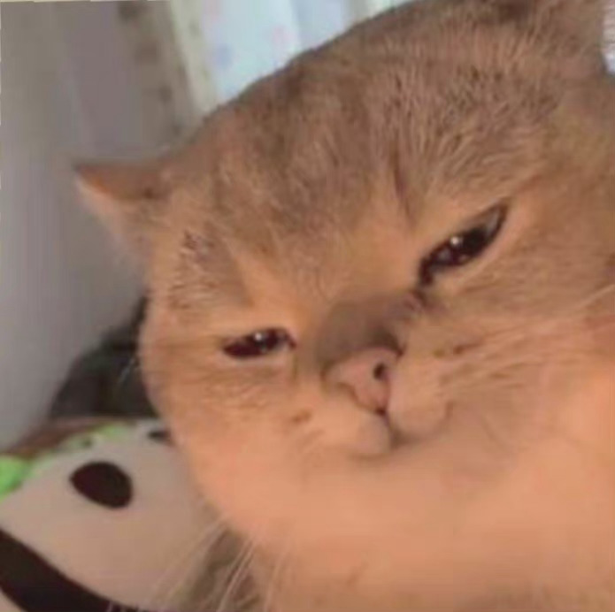 猫猫头表情包