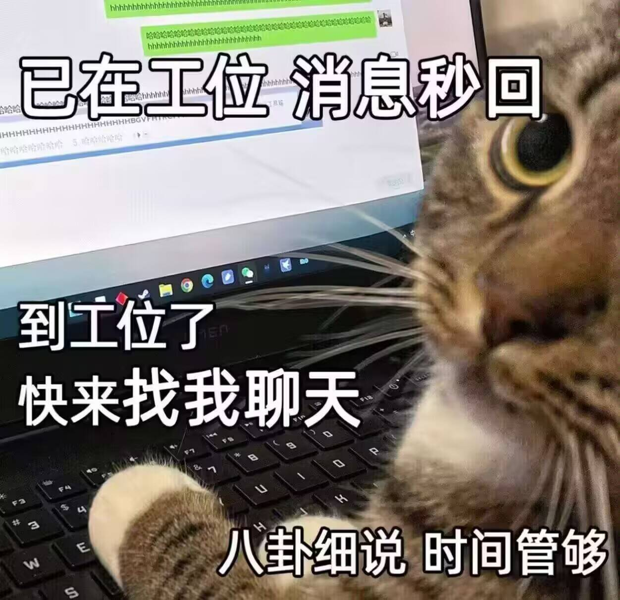 已在工位,消息秒回