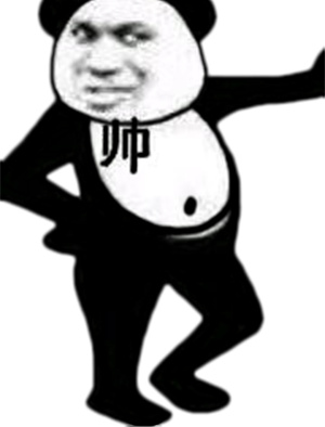 帅就一个字(熊猫人)