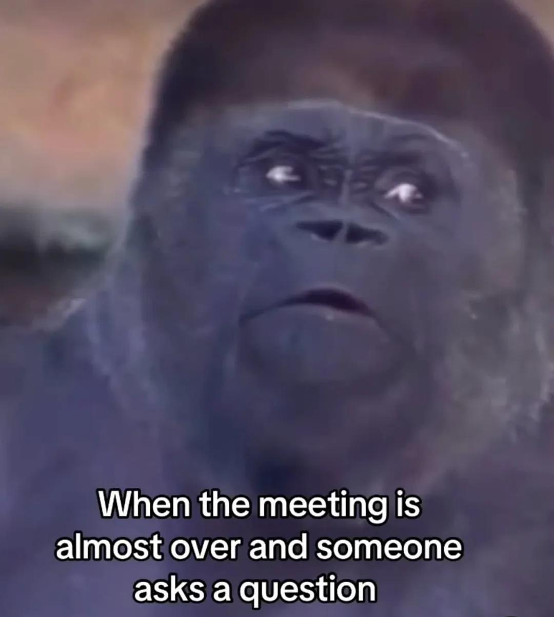 What Was That Last-Minute Question