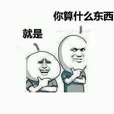 你算什么东西,就是
