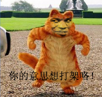 你的意思是想打架咯?(小猫)