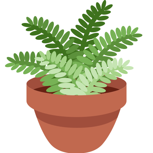 Potted plant