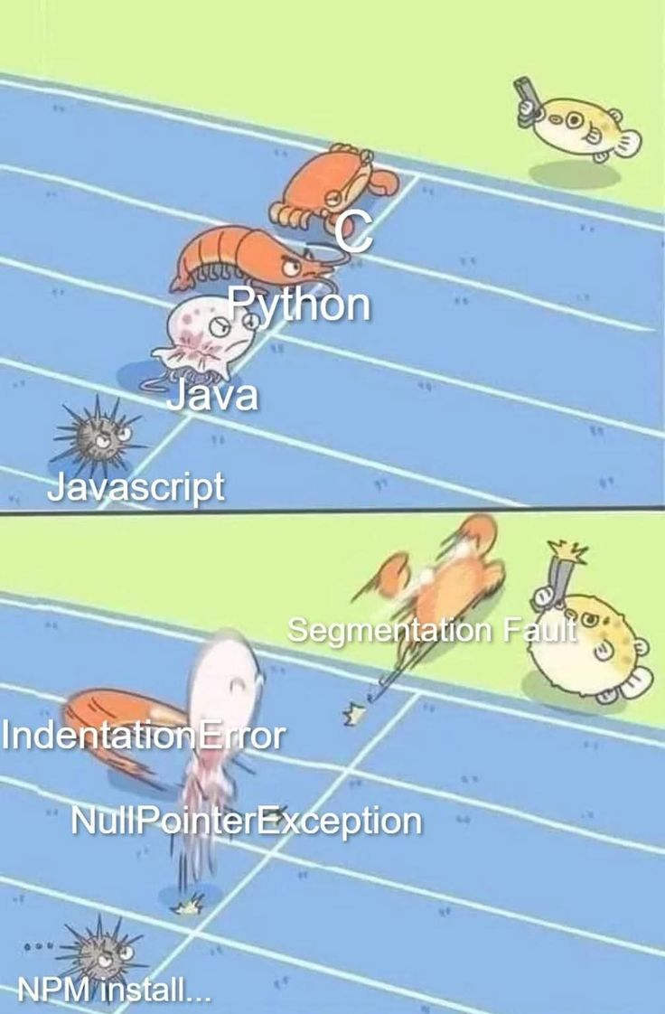 If Programming Languages Ran A Race