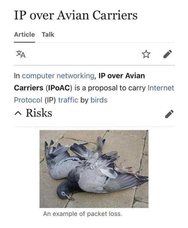 IP Over Avian Carriers: When Packet Loss Is Literal