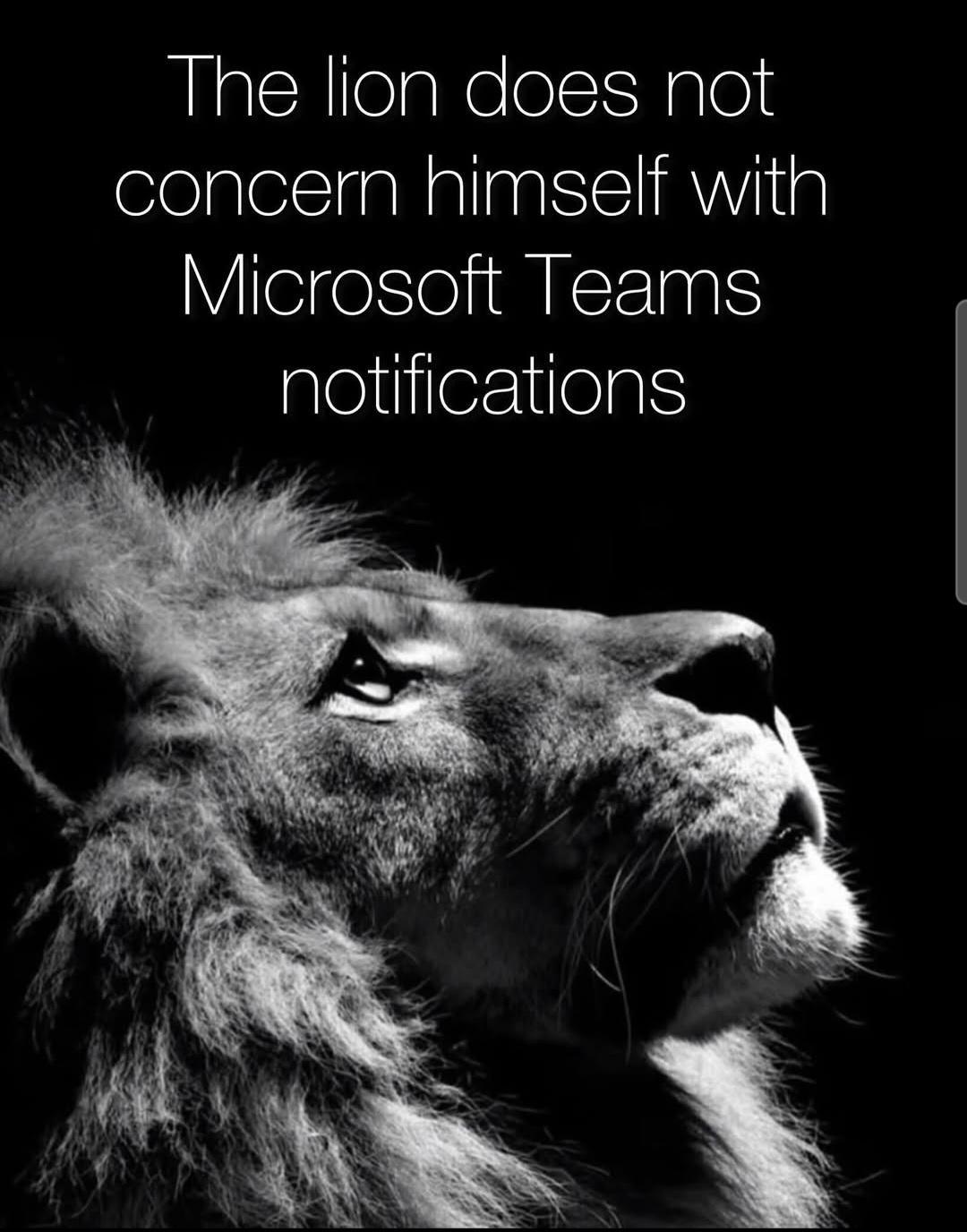 The King Of Digital Jungle