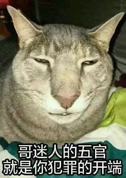 哥迷人的五官.就是你犯罪的开端