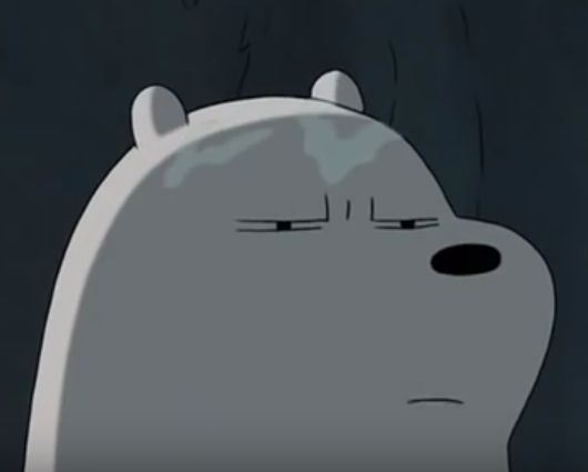 Ice Bear Does Not Approve