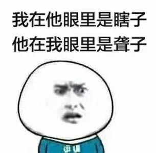 我在他眼里是瞎子他在我眼里是聋子