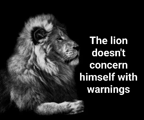 If It Runs It Runs