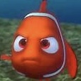NEMO FWAF