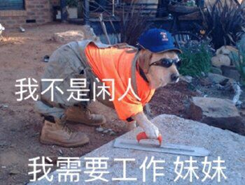 我不是闲人.我需要工作妹妹