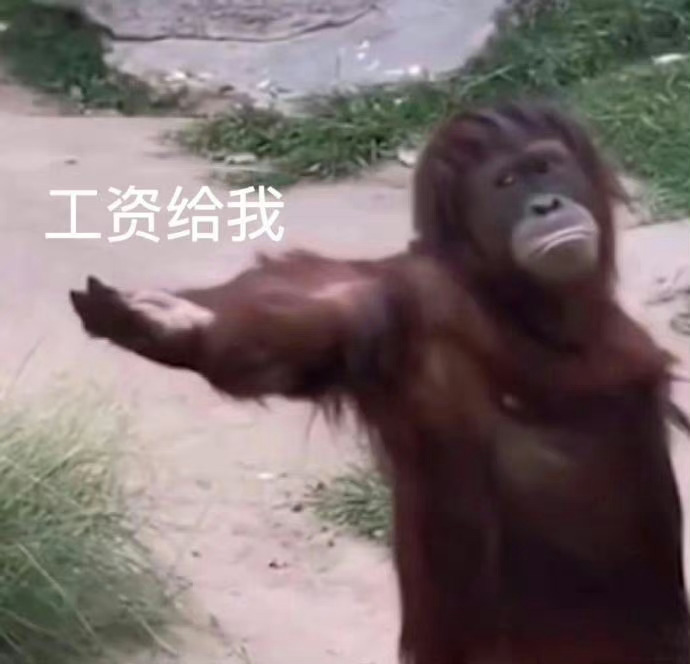 工资给我