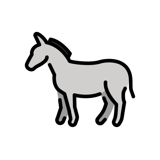 Donkey