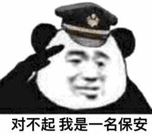 对不起我是一名保安